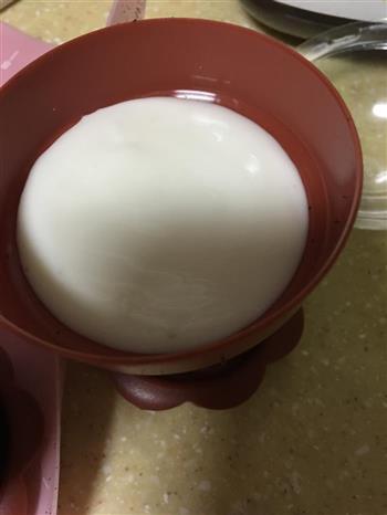 盆栽酸奶的做法步骤4