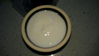福缸酸奶盆栽的做法步骤5