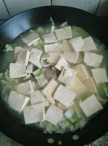 鲫鱼白菜豆腐汤的做法步骤4
