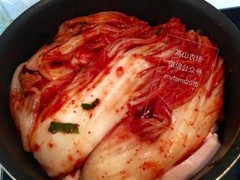 泡菜猪肉锅/韩式拌饭的做法步骤7