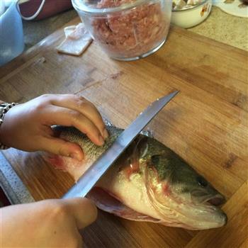 葱油鲈鱼/清蒸鲈鱼的做法步骤1