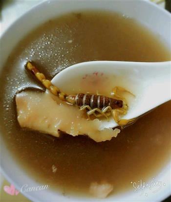 土茯苓煲蝎子汤的做法图解3