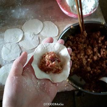 猪肉白菜饺子的做法步骤5