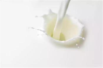 脆皮炸鲜奶的做法图解1