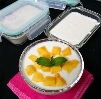大果粒芒果酸奶的做法步骤11