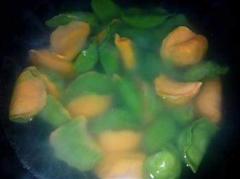 天然蔬菜汁双色水饺的做法步骤4