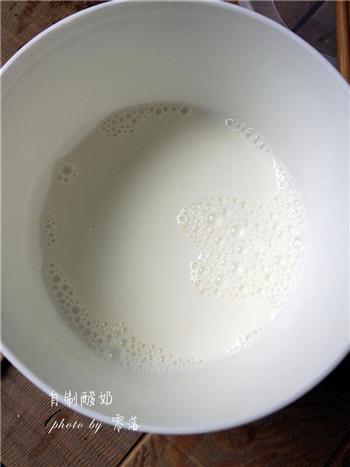 自制酸奶-原味酸奶的做法图解4