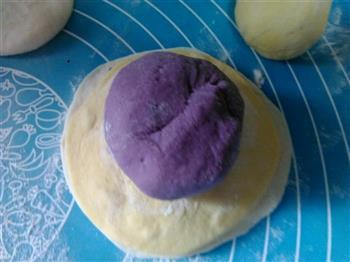 南瓜紫薯开花馒头的做法步骤4