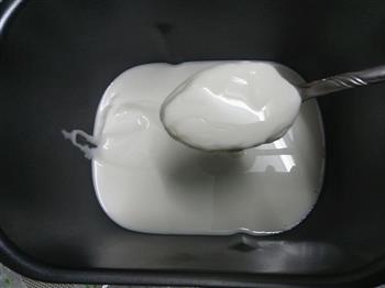 自制老酸奶的做法步骤7