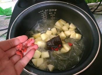 苹果银耳甜汤的做法步骤5