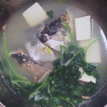 正宗芫茜豆腐鱼头汤的做法步骤4