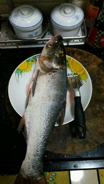 大头鱼-一鱼三味，经济实惠的做法图解1