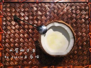 椰子冻盆栽-如何自制椰子冻的做法步骤5