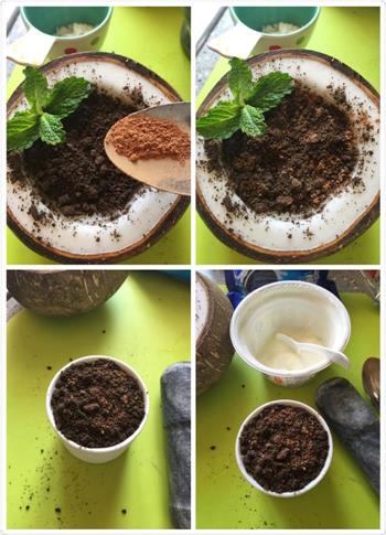 椰子冻盆栽-如何自制椰子冻的做法步骤8