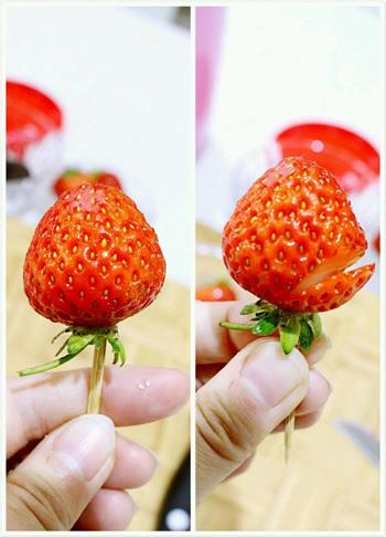 草莓酸奶盆栽的做法步骤12