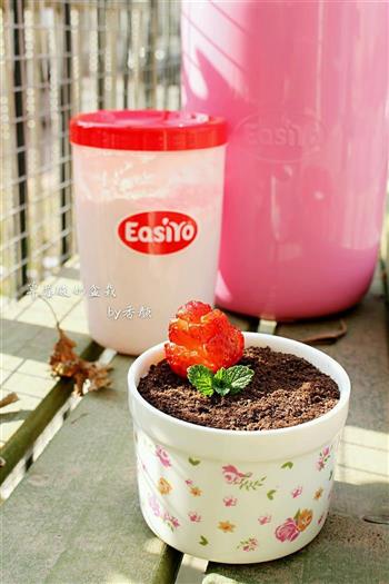 草莓酸奶盆栽的做法步骤16