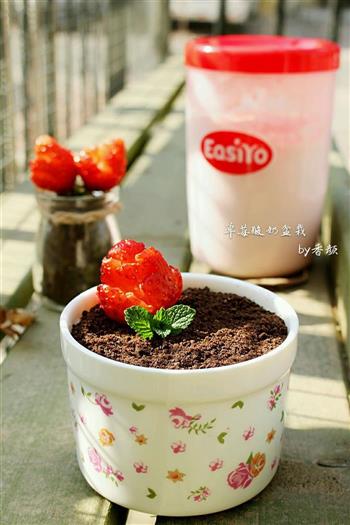 草莓酸奶盆栽的做法步骤18