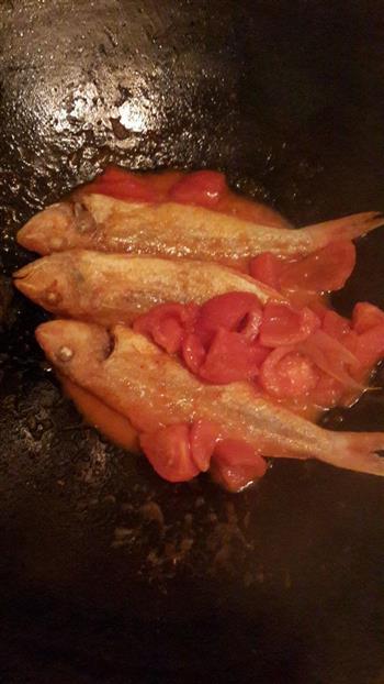 老少皆宜的番茄煮鱼的做法图解7