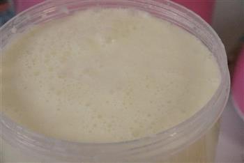 酸奶盆栽的做法步骤9