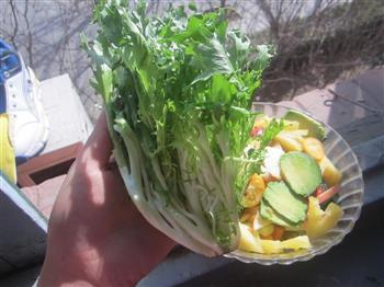 春季补水养生低脂水果沙拉的做法图解17