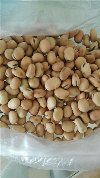自制五香蚕豆的做法步骤1