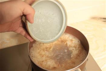 雪蛤雪燕百合润肺汤的做法步骤9