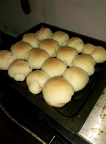 奶香豆沙小面包的做法步骤10