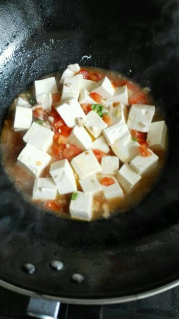 西红柿炖豆腐的做法步骤6