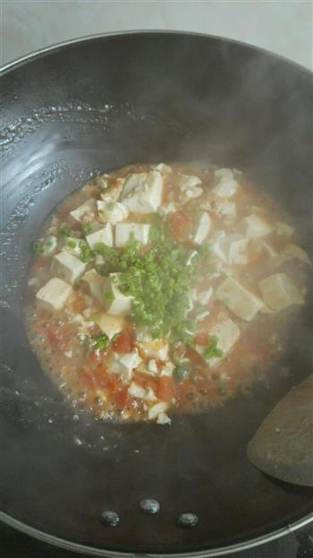 西红柿炖豆腐的做法步骤7