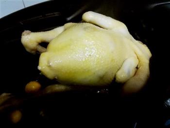干锅焗鸡的做法图解3