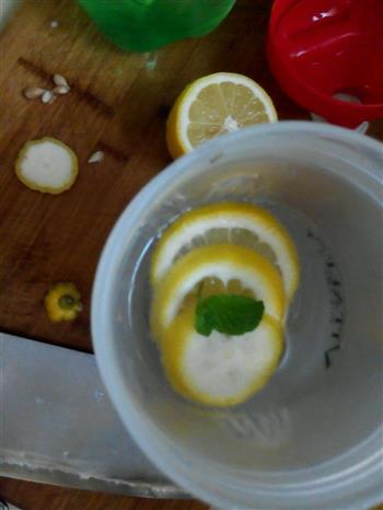 冰冰凉凉的薄荷柠檬七喜的做法步骤3