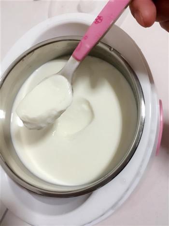 自制美味酸奶的做法步骤13