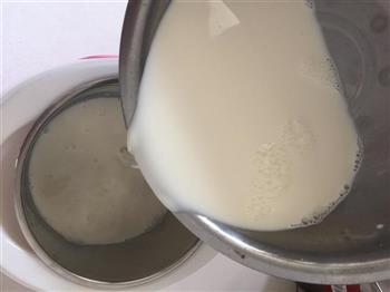 自制美味酸奶的做法步骤7