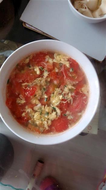 西红柿蛋汤的做法图解7