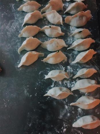 韭菜猪肉饺子的做法步骤5