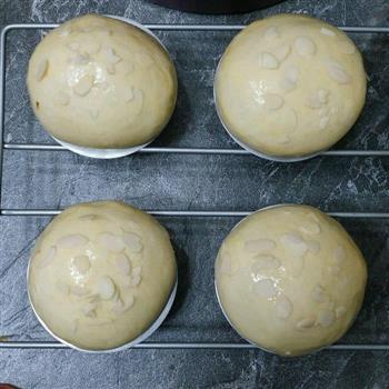 豆浆甜面包的做法步骤14
