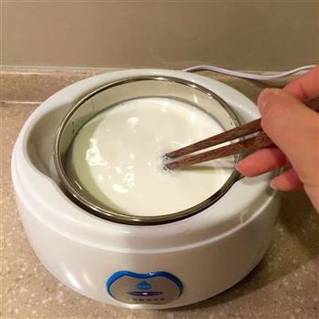 希腊酸奶自制的做法图解3