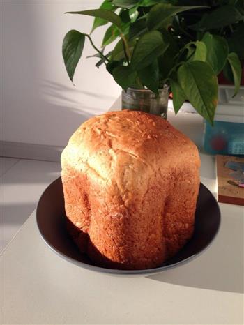 无糖全麦粉无添加剂面包机面包的做法图解1