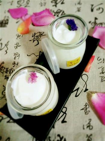 自制美味酸奶的做法步骤8