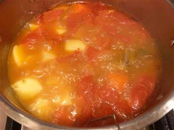 西红柿土豆胡萝卜牛尾骨汤的做法图解5