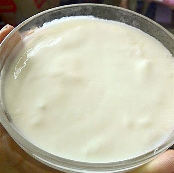 自制蜂蜜酸奶的做法图解6