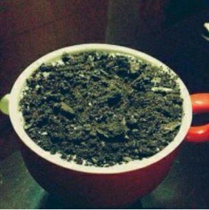 好看又好吃的盆栽奶茶的做法步骤6