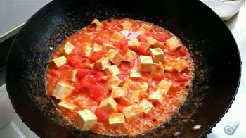 西红柿炖豆腐的做法图解7