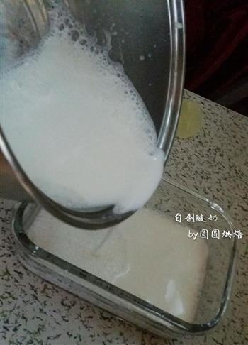 电饭锅版自制酸奶的做法图解7