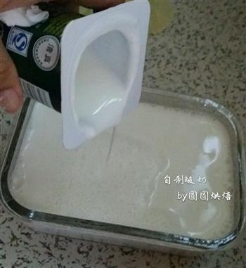 电饭锅版自制酸奶的做法图解8