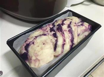 紫薯吐司中种法的做法步骤14