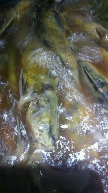 红烧嗄鱼，通用各种河鱼的红烧法，学名黄颡鱼的做法图解5