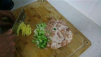 茴香猪肉大包子的做法步骤1
