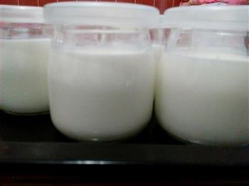 烤箱自制酸奶的做法步骤2