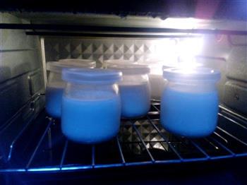 烤箱自制酸奶的做法步骤3